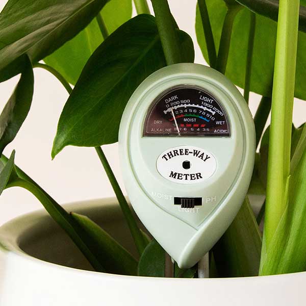 3-in-1 Moisture Meter - The Sill