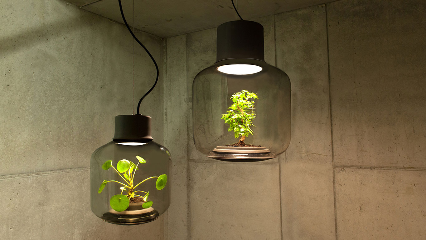 Lamp Mygdal by Nui Studio lamp-lit terrariums