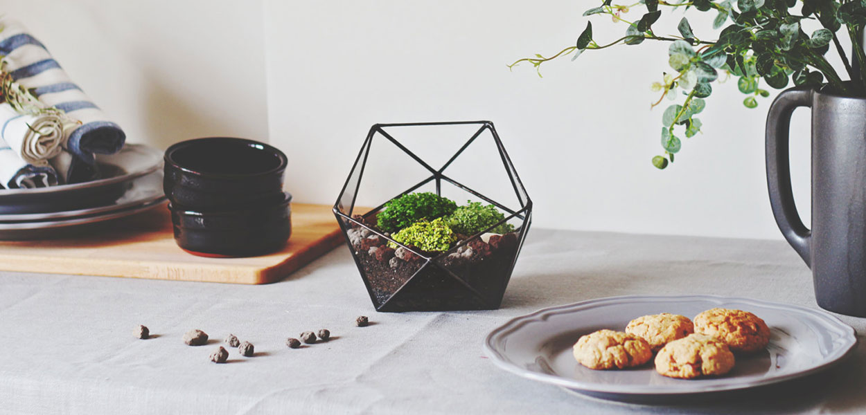 Modern planter for indoor gardening