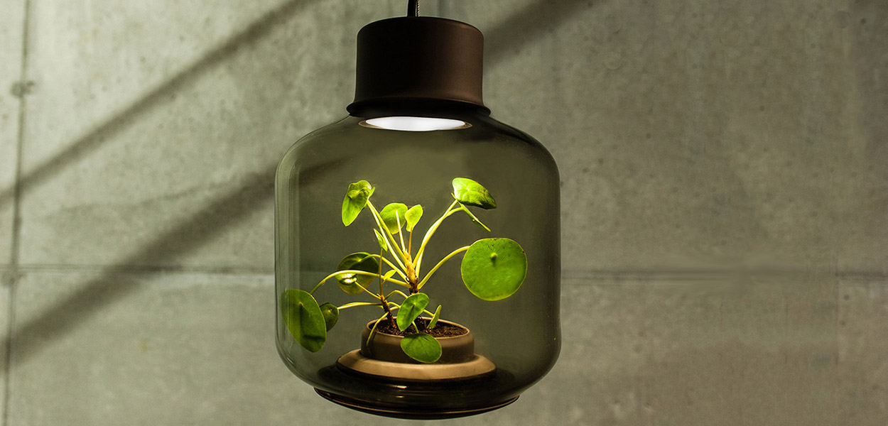 Mygdal plant lamp - grow plants in windowless spaces