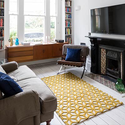 Barons Court basement extension and redesign by Rees Architects - living room design idea