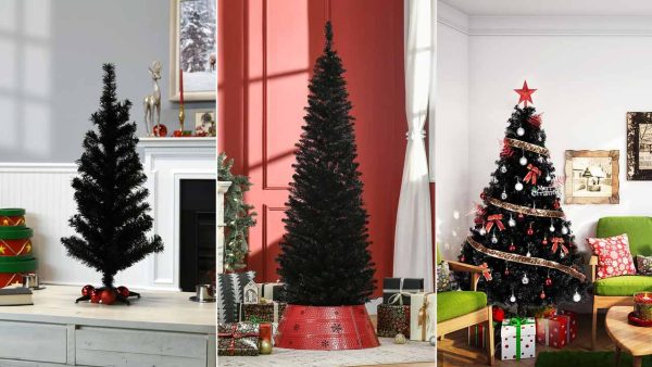 Black Christmas trees for sale