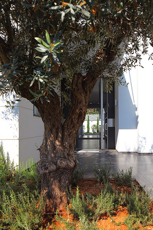 Bright and cozy family home with beautiful garden in Israel by Blumenfeld Moore Architects