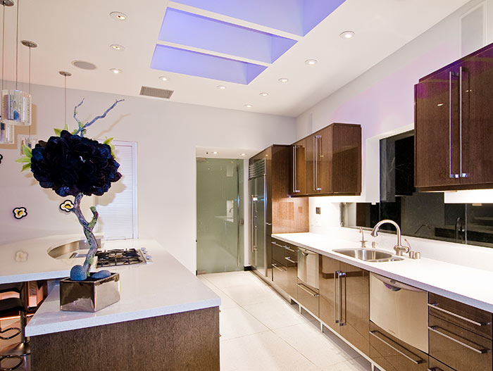 Contemporary kitchen cabinets in Hollywood bachelor pad