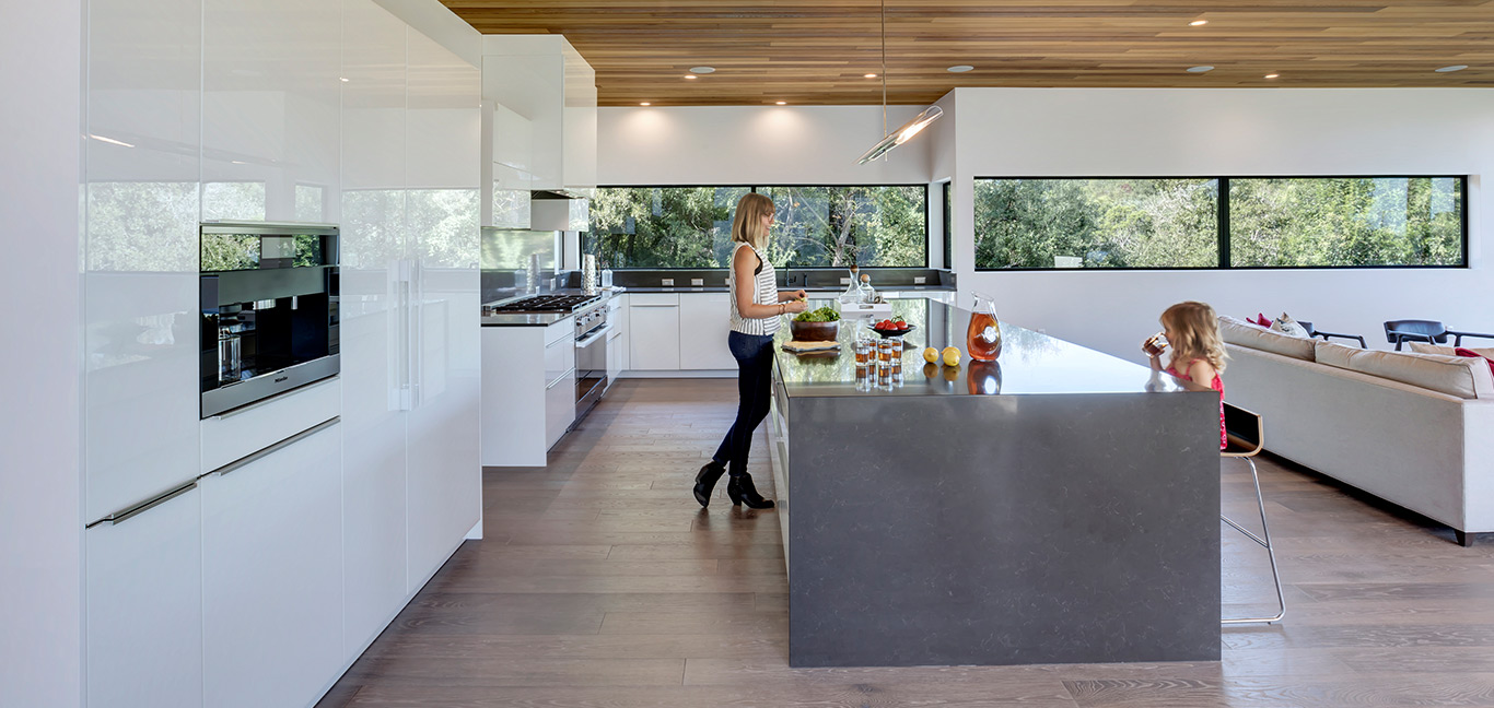 Modern kitchen design idea in dazzling house located in Austin, Texas - Bracketed Space House by Matt Fajkus Architecture