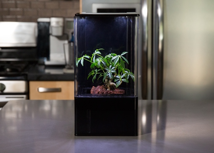 Ecoqube air desktop greenhouse smart home