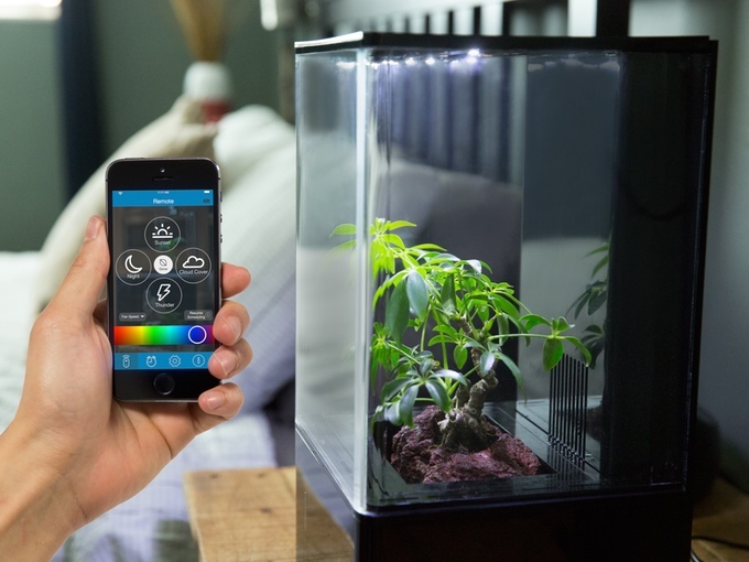 Ecoqube air smart greenhouse