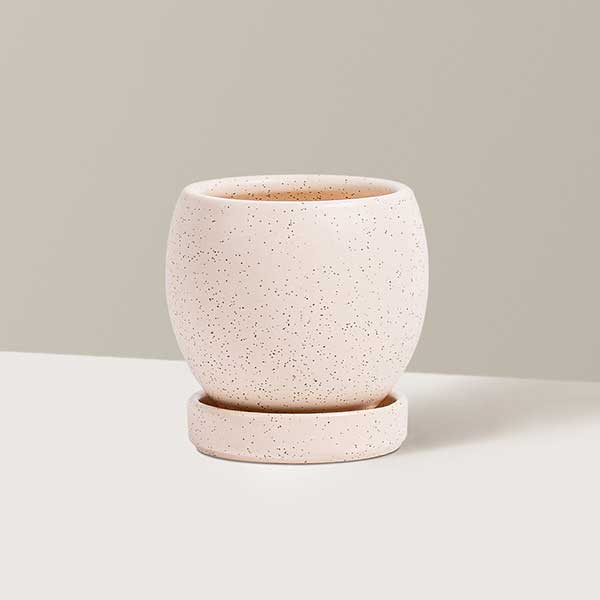 Evie Planter