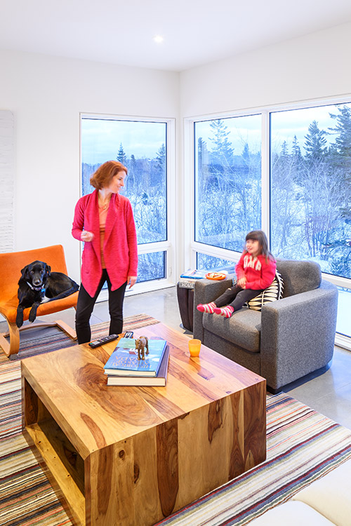 Modern living room design idea in a contemporary Canadian house - Fyren by Omar Gandhi Architect