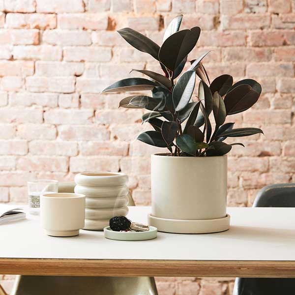 Hyde Planter