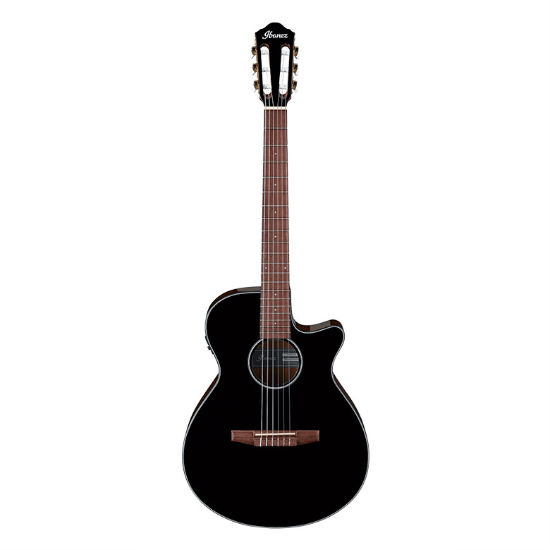 Ibanez AEG50N Nylon-String Acoustic-Electric Guitar you can buy