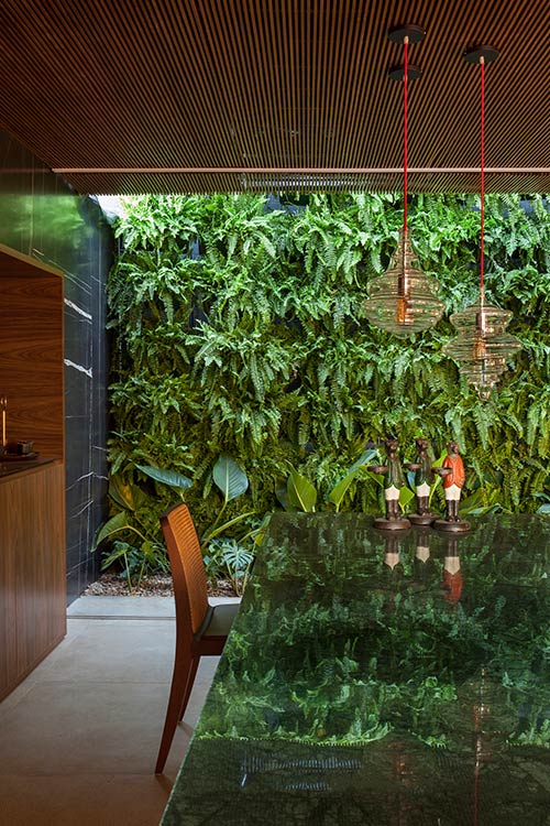 Amazing kitchen with wood cabinets and marble counter, completely open to the lush vertical garden outside - contemporary house located in Brazil