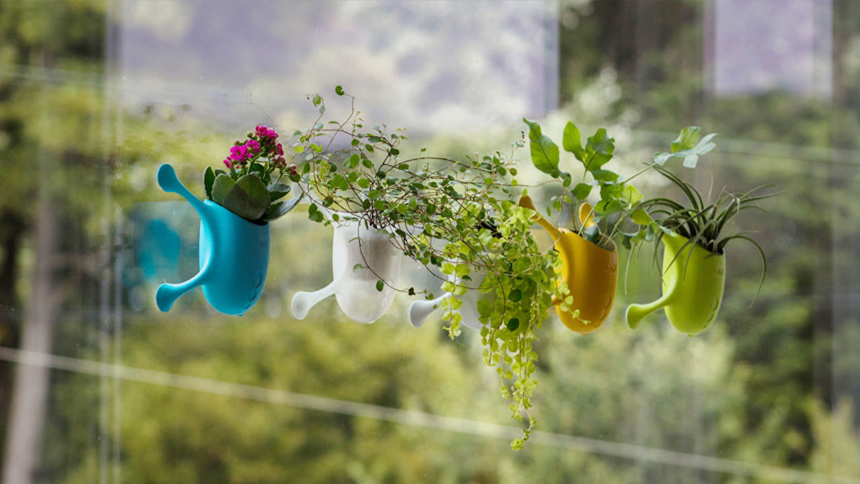 Livi adorable little planters suction cup