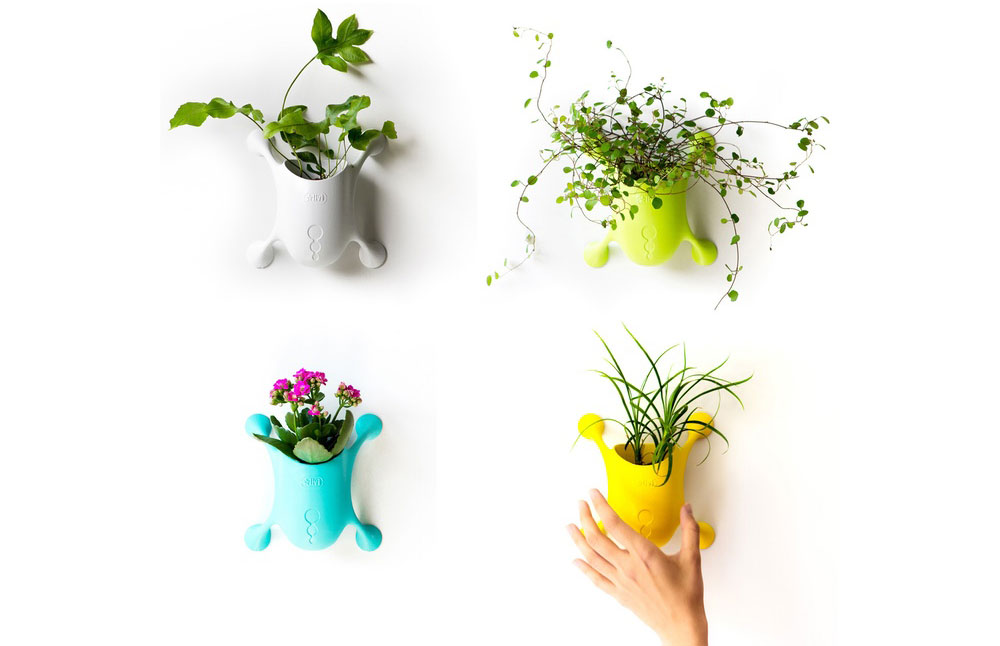 Livi cute planter suction cup