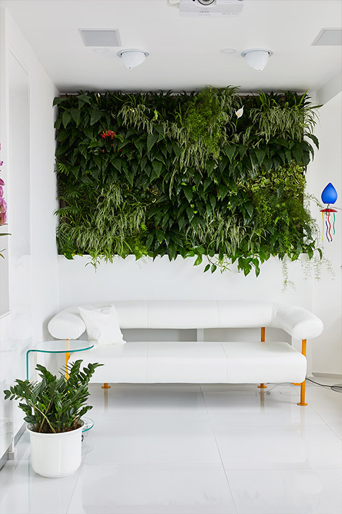 Living green wall brings nature into this renovated apartment by Margeza