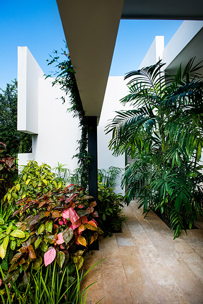 Lush garden in award-winning house in Yucatan, Mexico by Seijo Peon Architects