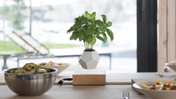 LYFE levitating planter by FLYTE