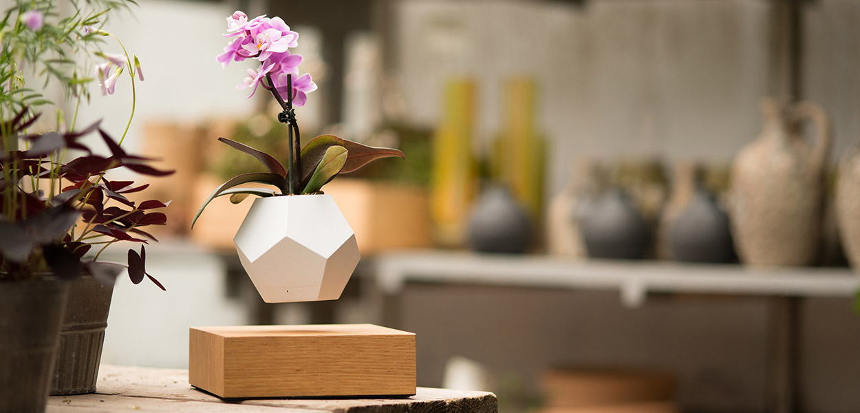 LYFE levitating planter floating plants by FLYTE