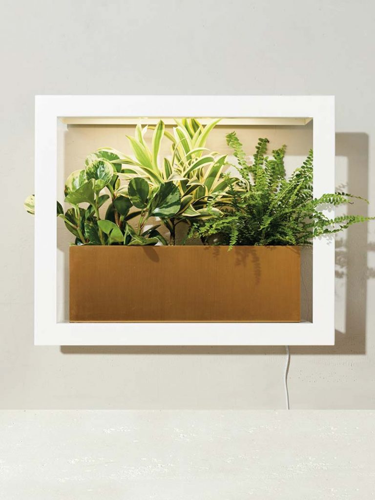 White and stylish Smart Growframe by Modern Sprout