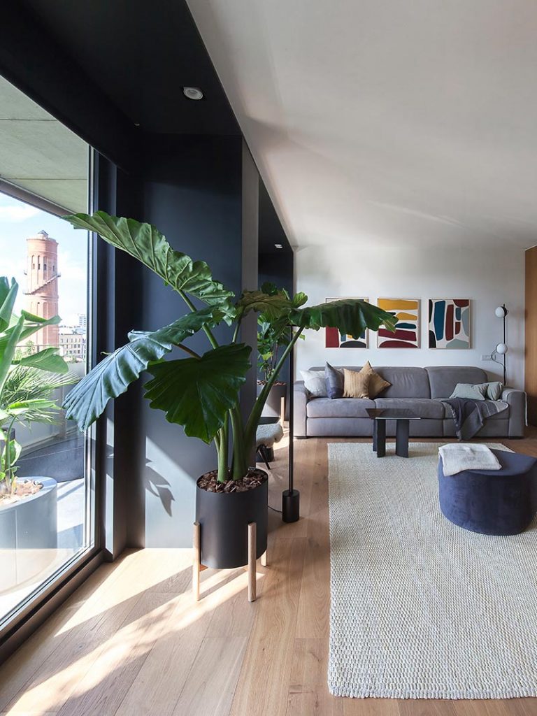 Plants are must-have accessories for every modern living room