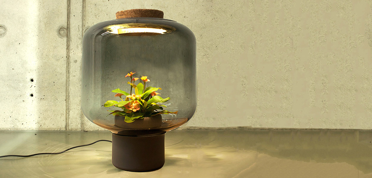 Nui studio plant lamp ingenious solution to growing plants