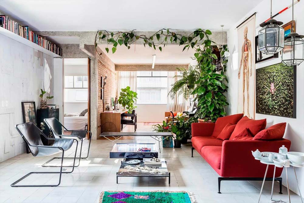 Plants can instantly change the living room decor and add color