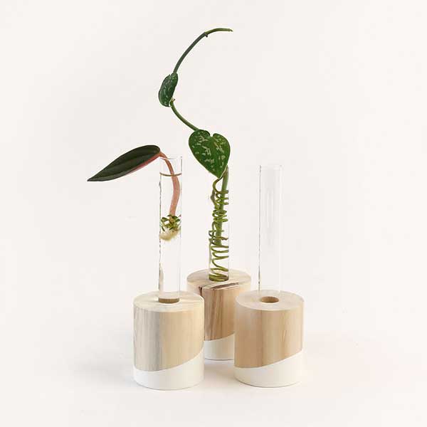 Plant Propagation Kit