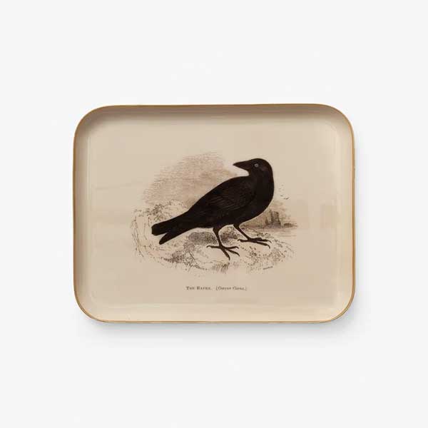 Raven Enamel Tray